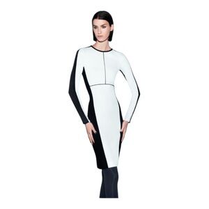 NWOT Narciso Rodriguez Color block Sheath Dress by Design Nation Size Me…